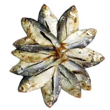 Puti Shutki